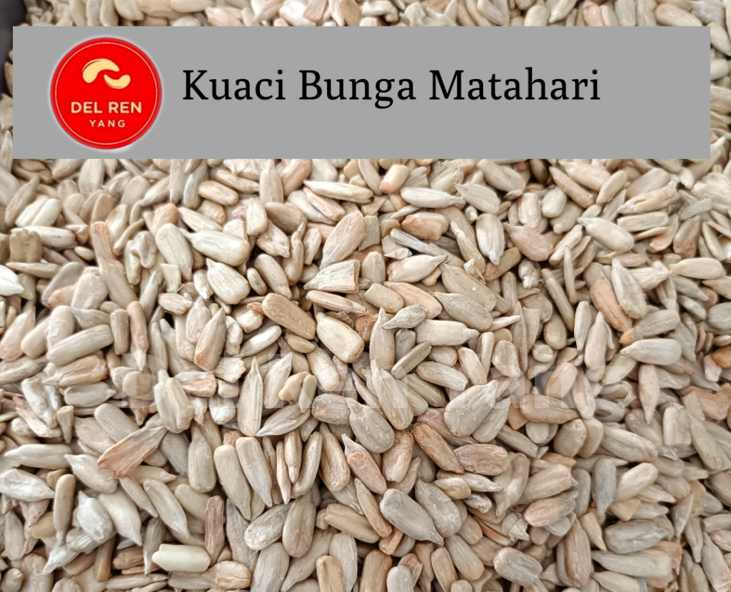 Kuaci Bunga Matahari Kupas Mentah